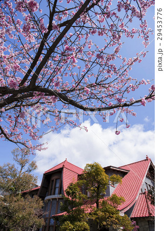 名古屋都市風景・文化のみち二葉館 名古屋都市風景・文化のみち二葉館 29453776