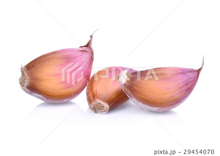 Garlic isolated on white background 29454070
