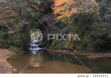 晩秋の清水渓流公園内、亀岩の洞窟 晩秋の清水渓流公園内、亀岩の洞窟 29454451