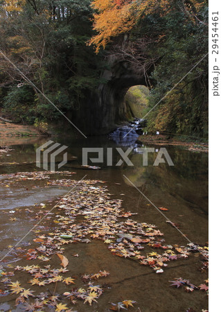 晩秋の清水渓流公園内、亀岩の洞窟 晩秋の清水渓流公園内、亀岩の洞窟 29454461