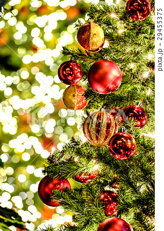 クリスマスイルミネーション 29455375