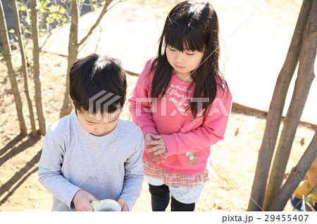 おままごとをする幼稚園児 おままごとをする幼稚園児 29455407