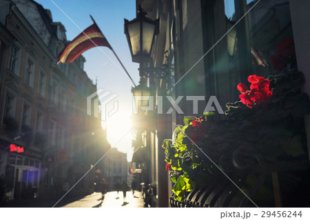 Sun, flowers and flags on the street 29456244
