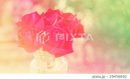 red roses in a vase, pastel color. red roses in a vase, pastel color. 29456692