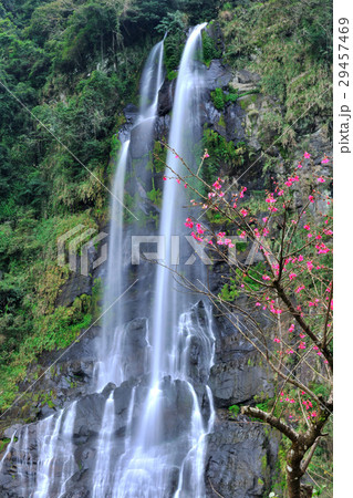 滝 瀧 瀑布 29457469
