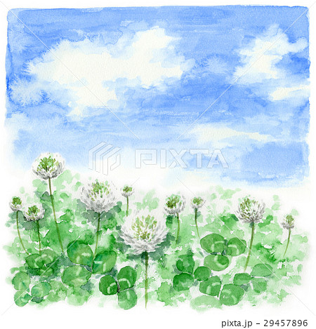 クローバー畑と青空のイラスト素材