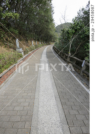 愛媛県西予市　須崎観音　遊歩道 29458087