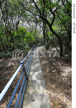 愛媛県西予市 須崎海岸 遊歩道 愛媛県西予市 須崎海岸 遊歩道 29458189