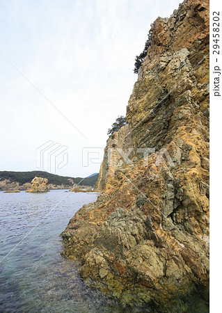 愛媛県西予市 須崎海岸 愛媛県西予市 須崎海岸 29458202
