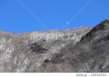 雪山　月 29458244