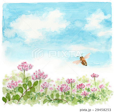レンゲ畑を飛ぶミツバチ 29458253