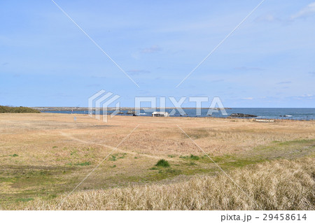 海鹿島海岸の風景 海鹿島海岸の風景 29458614