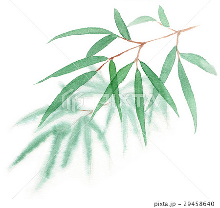 笹の葉のイラスト素材