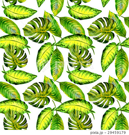 Tropical Hawaii leaves palm tree pattern in a Tropical Hawaii leaves palm tree pattern in a 29459179