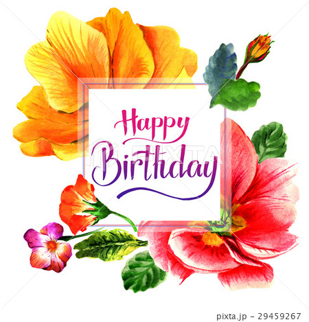 Wildflower Primrose flower frame in a watercolor 29459267