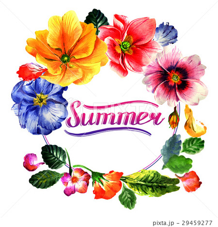Wildflower Primrose flower wreath in a watercolor 29459277