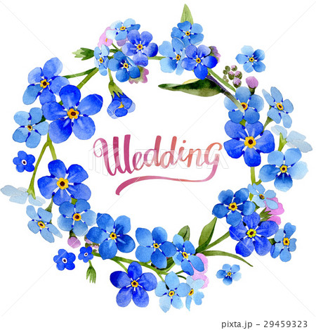 Wildflower myosotis arvensis flower wreath in a Wildflower myosotis arvensis flower wreath in a 29459323