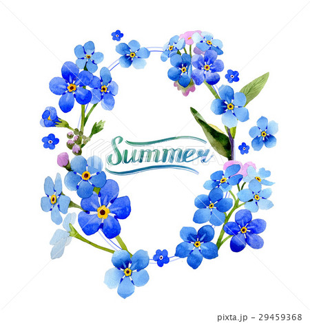 Wildflower myosotis arvensis flower in a 29459368