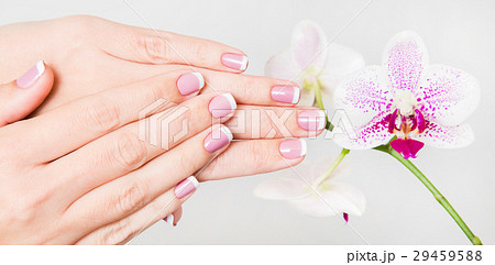 Closeup of female hands and fingers manicured 29459588