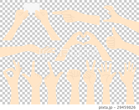 手のイラストセット 手のイラストセット 29459826