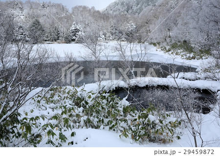 冬の志賀高原 木戸池 冬の志賀高原 木戸池 29459872