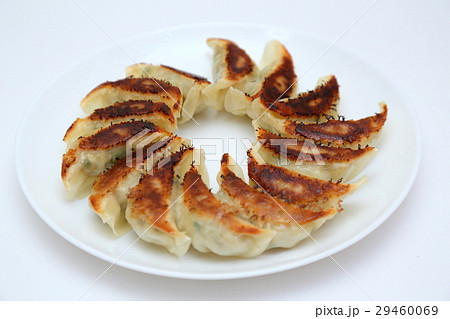 手作り餃子　白バック 29460069