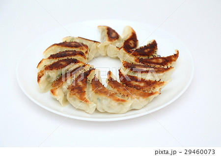 手作り焼き餃子　白バック 29460073