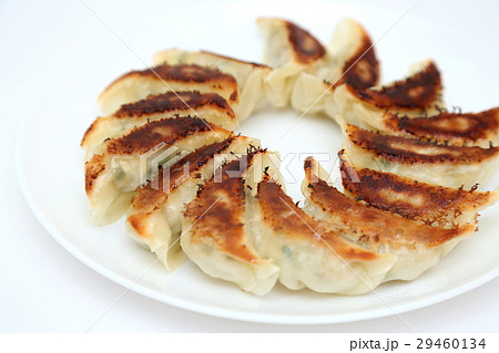 手作り焼き餃子　白バック 29460134