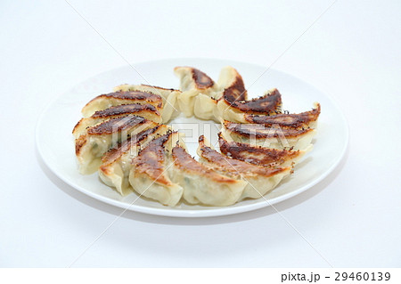 手作り焼き餃子　白バック 29460139