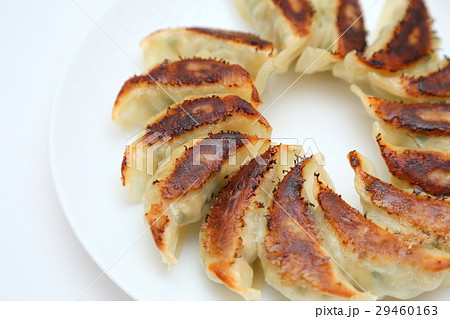 手作り焼き餃子　白バック 29460163