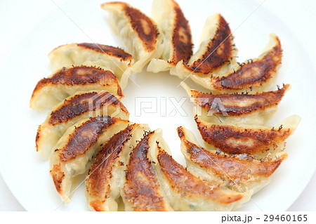 手作り焼き餃子　白バック 29460165