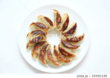 手作り焼き餃子　白バック 29460186