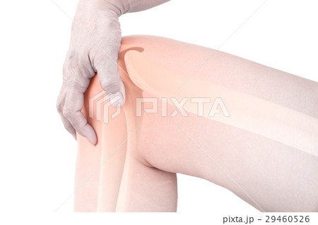 Knee bones pain 29460526