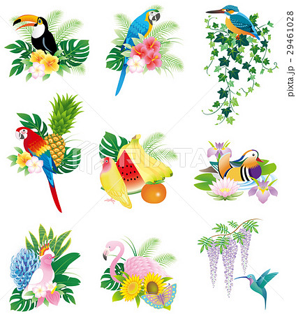 鳥と花 果物のアイコン マークのイラスト素材