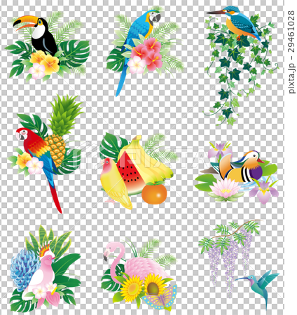 Icons and marks of birds and flowers / fruits 29461028