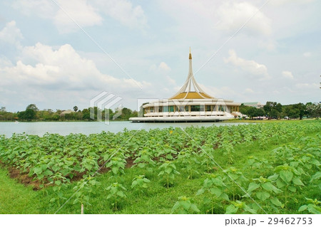 タイ王国ラマ9世公園（King Rama IX Park in Thailand） 29462753