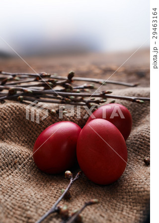 Three Easter eggs, spring branches Three Easter eggs, spring branches 29463164
