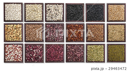 Multicolored beans in bowl Multicolored beans in bowl 29463472
