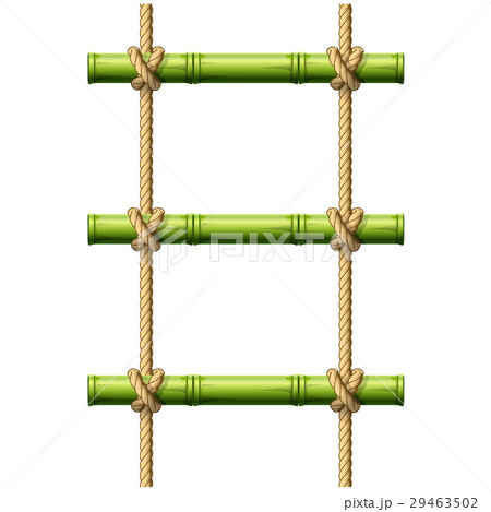 Bamboo rope ladder - crossbeams with knots 29463502