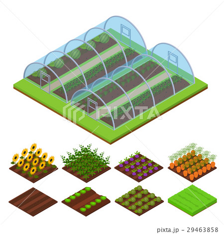 Greenhouse Isometric View. Vector 29463858
