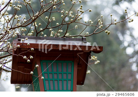 英彦山 奉幣殿 英彦山 奉幣殿 29465606