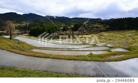 春を待つ大山千枚田 29466089