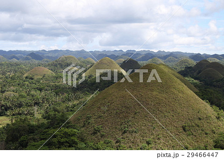 チョコレートヒル チョコレートヒル 29466447