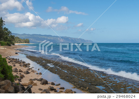 ラニアケアビーチの風景 ラニアケアビーチの風景 29468024