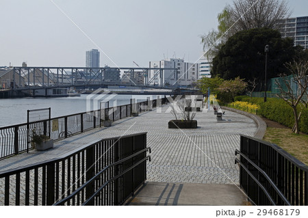 高浜運河遊歩道(港区) 高浜運河遊歩道(港区) 29468179