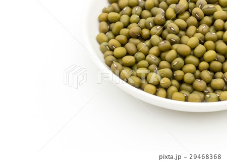 緑豆：Mung Bean 29468368