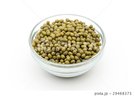 緑豆:Mung Bean 緑豆:Mung Bean 29468373