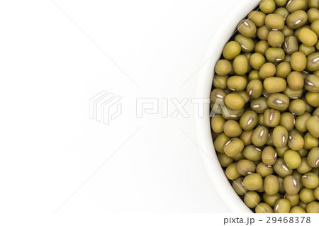緑豆：Mung Bean 29468378