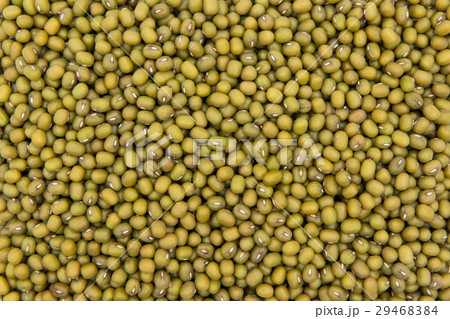 緑豆：Mung Bean 29468384