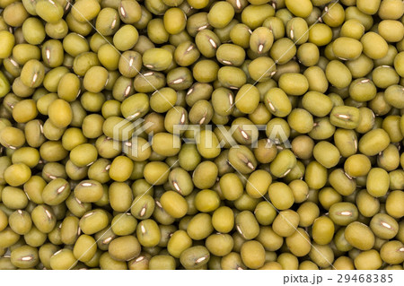 緑豆:Mung Bean 緑豆:Mung Bean 29468385